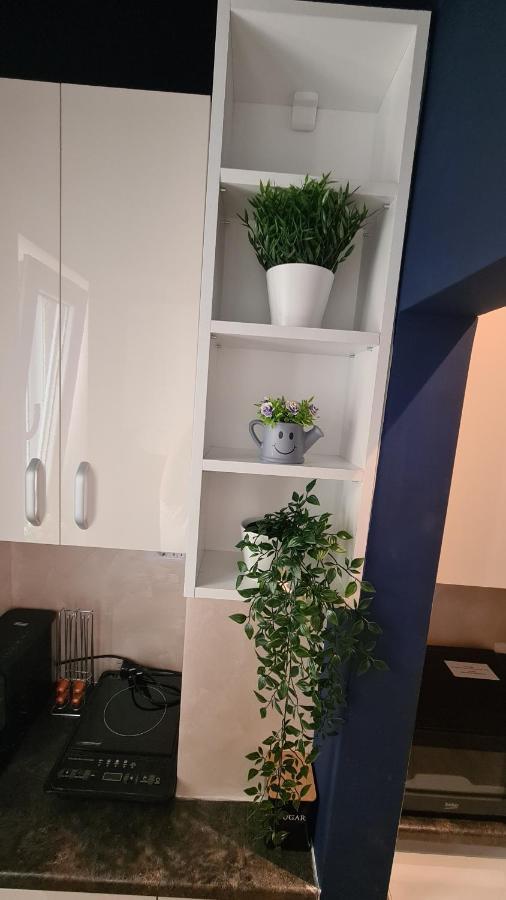Calea Victoriei Studio By Magic Apartments Bukarest Eksteriør billede