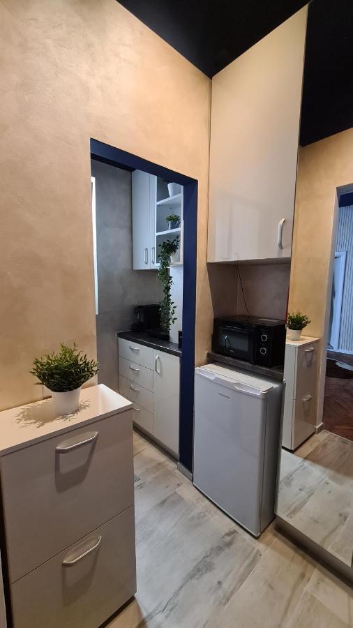 Calea Victoriei Studio By Magic Apartments Bukarest Eksteriør billede